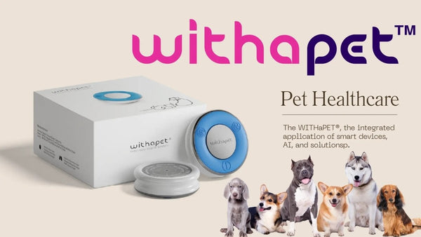 【EC物流】動物用医療機器(動物用デジタル聴診器)への対応
