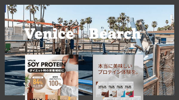 VALX 世界一を見据えた展開 表現する市場と売る市場とは #2
