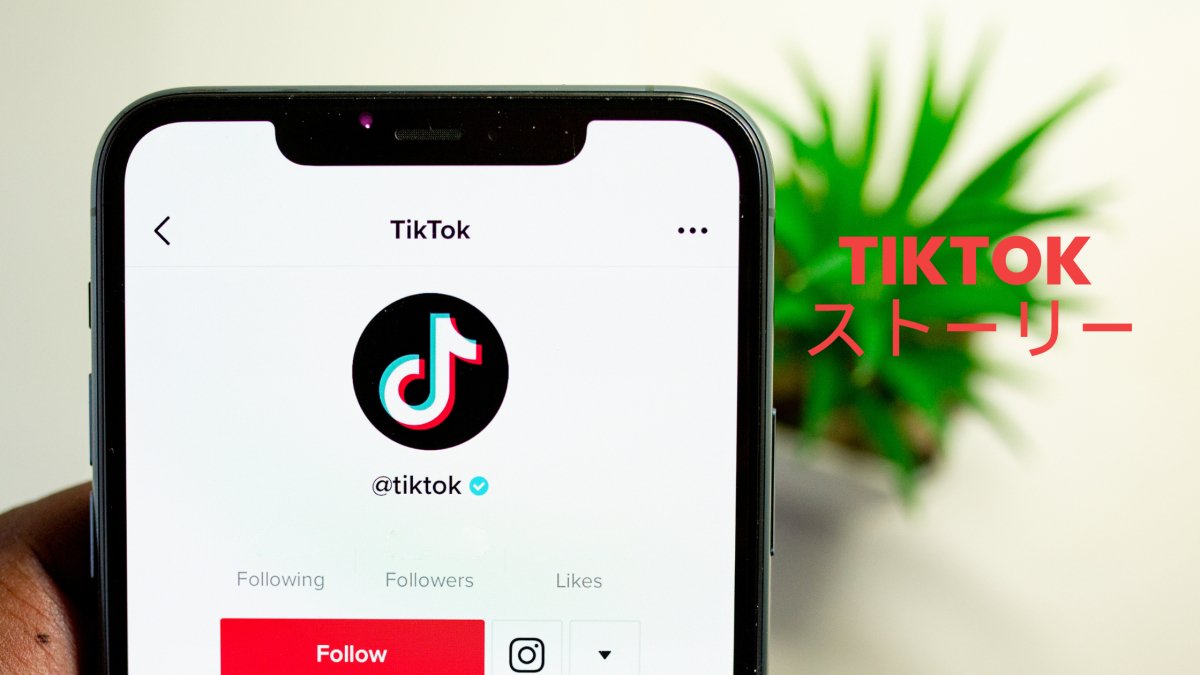 TikTok ストーリー ソーシャルメディア用語集